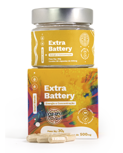 EXTRA BATTERY