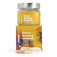 EXTRA BATTERY - energia e concentração